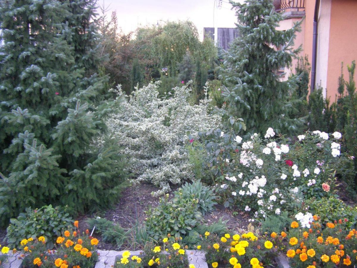 Apartamento Gosciniec W Ogrodzie Brusy Exterior foto